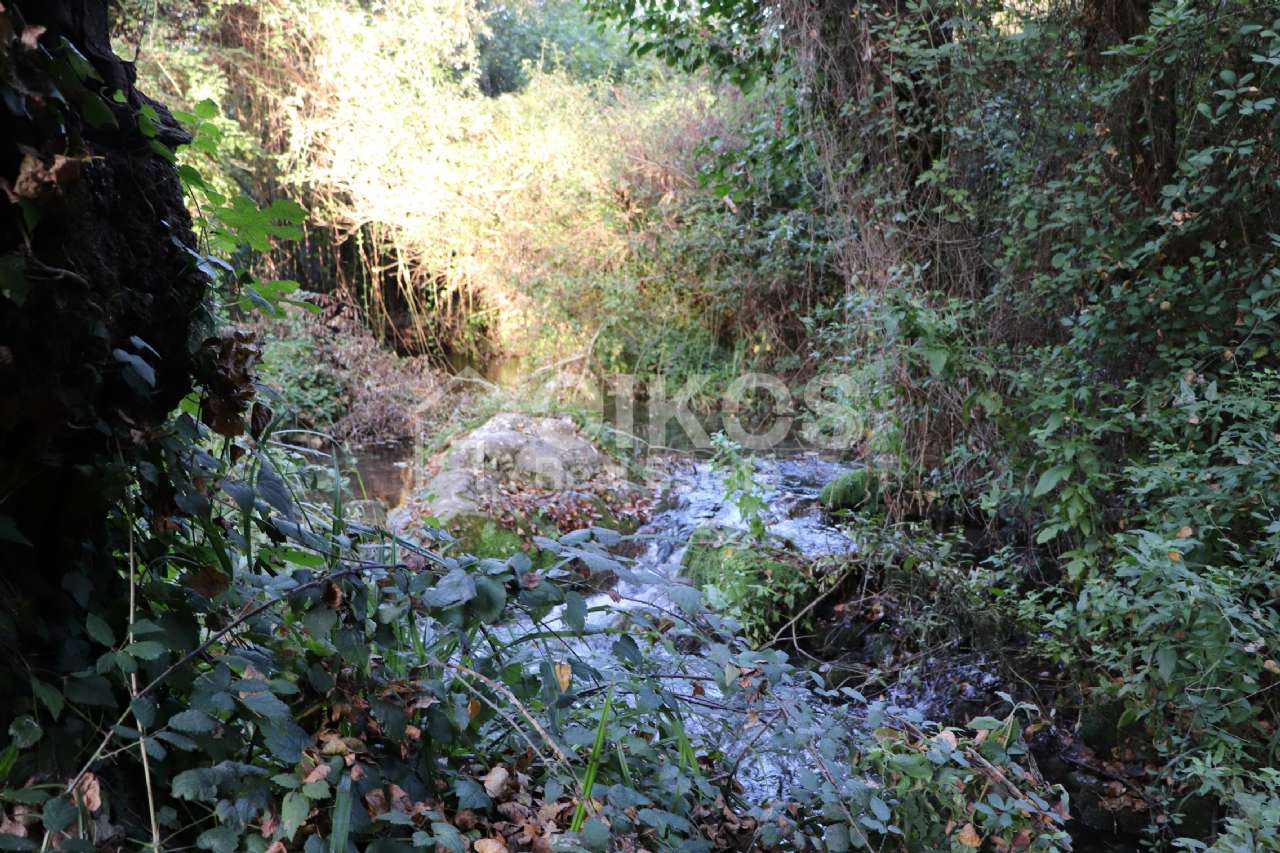 Terreno agricolo in vendita a Noto (SR)