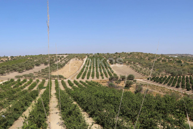 Terreno agricolo in vendita a Noto (SR)