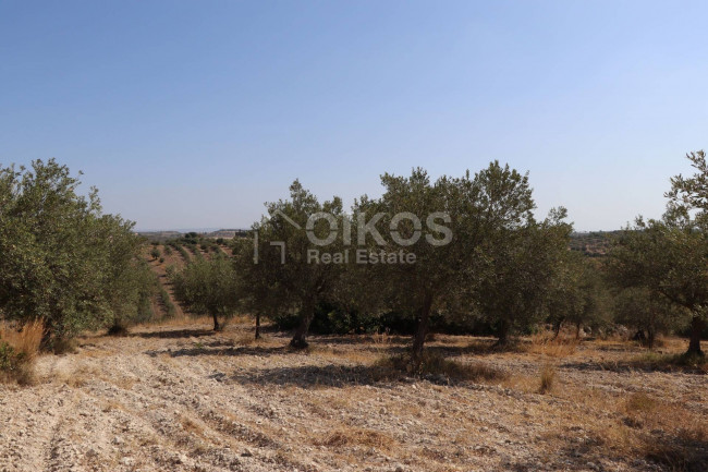 Terreno agricolo in vendita a Noto (SR)