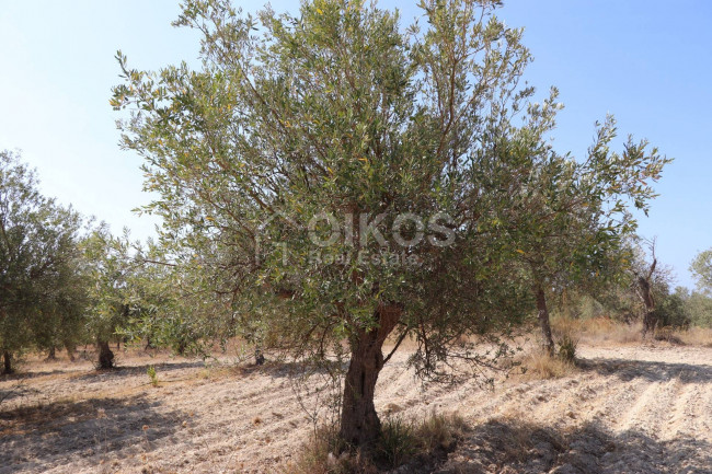 Terreno agricolo in vendita a Noto (SR)