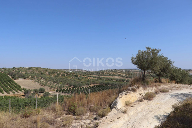 Terreno agricolo in vendita a Noto (SR)