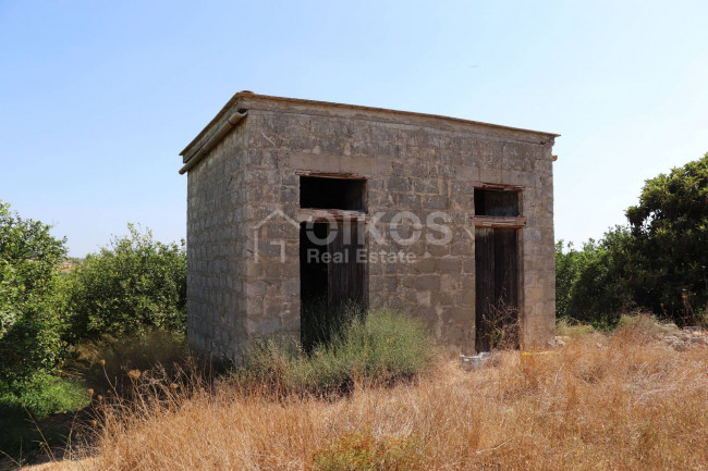 Terreno agricolo in vendita a Noto (SR)