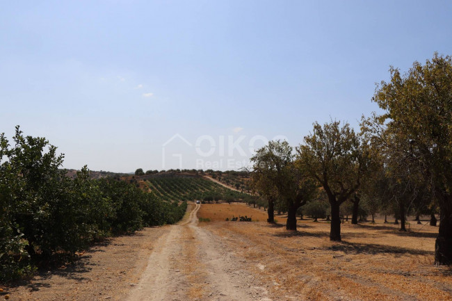 Terreno agricolo in vendita a Noto (SR)