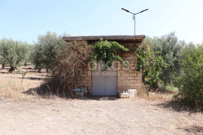 Terreno agricolo in vendita a Noto (SR)