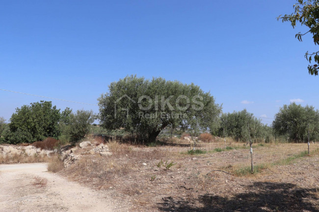 Terreno agricolo in vendita a Noto (SR)