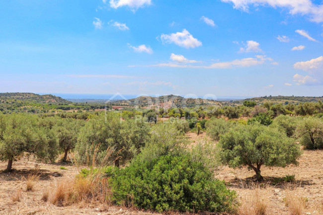 Terreno agricolo in vendita a Avola (SR)