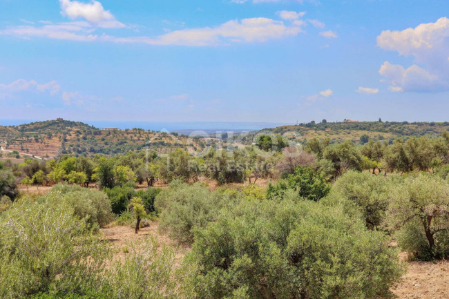 Terreno agricolo in vendita a Avola (SR)