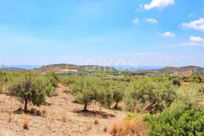 Terreno agricolo in vendita a Avola (SR)