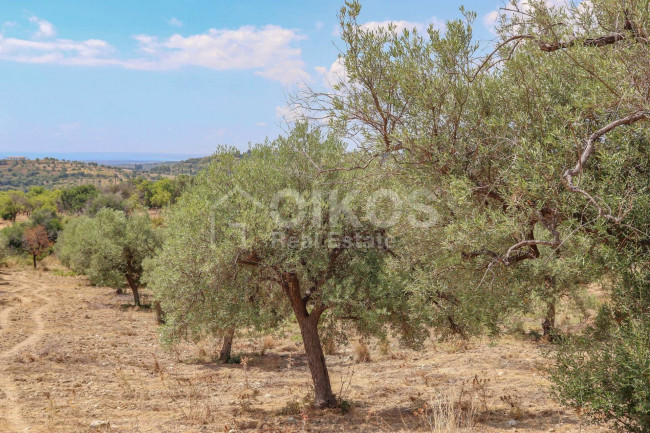 Terreno agricolo in vendita a Avola (SR)