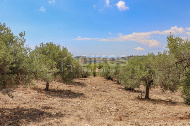 Terreno agricolo in vendita a Avola (SR)