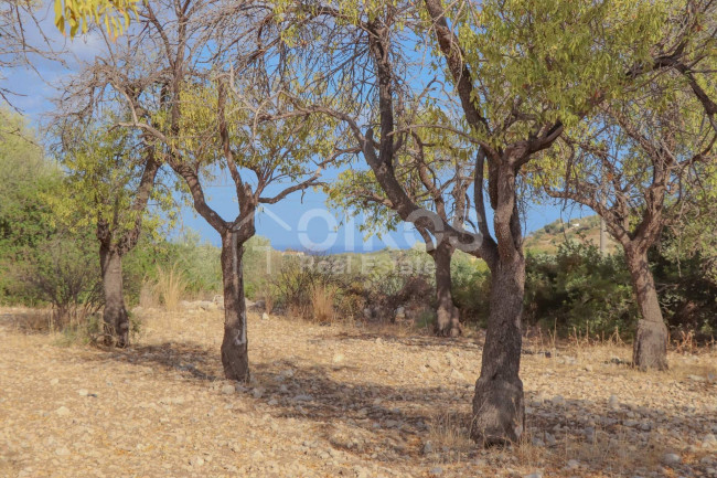 Terreno agricolo in vendita a Avola (SR)