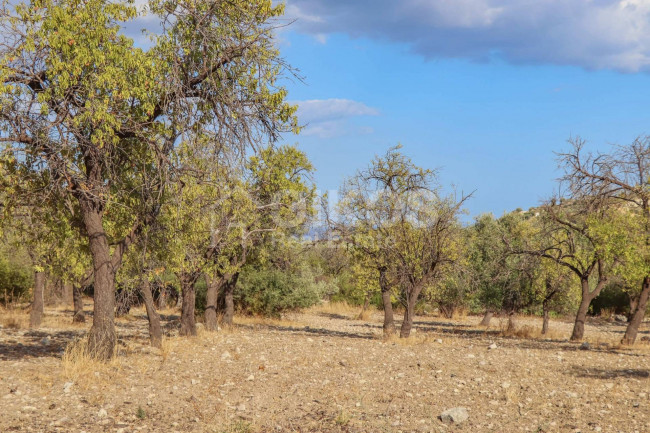 Terreno agricolo in vendita a Avola (SR)