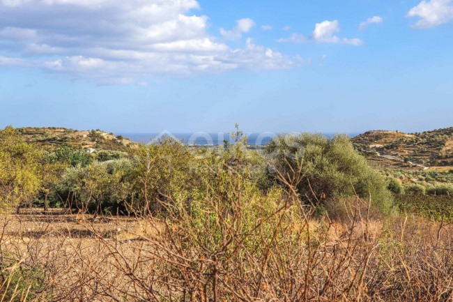 Terreno agricolo in vendita a Avola (SR)