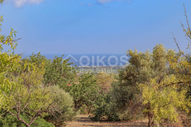 Terreno agricolo in vendita a Avola (SR)