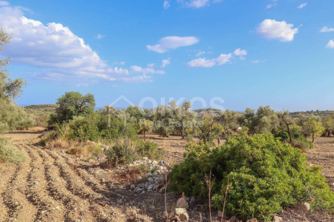 Terreno agricolo in vendita a Avola (SR)