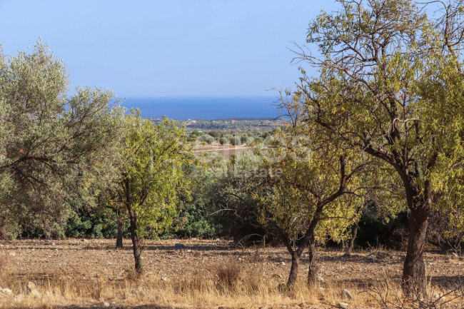 Terreno agricolo in vendita a Avola (SR)