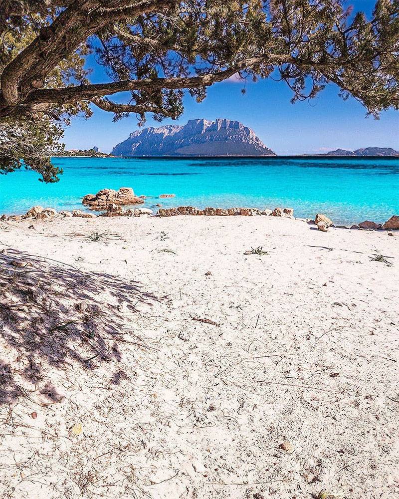 Appartamento a Olbia