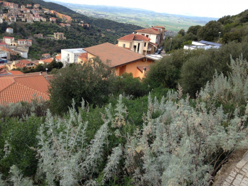 Terreno edificabile a Ozieri