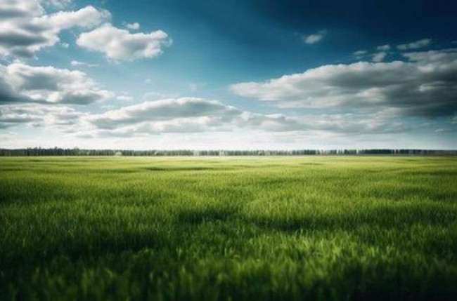 Terreno edificabile in vendita a Pioltello