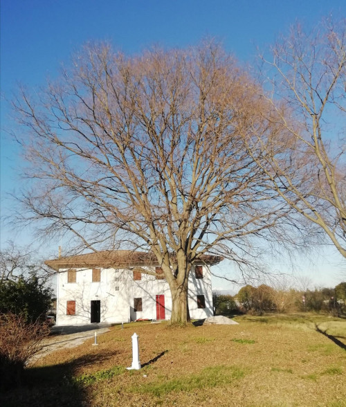 Casa singola a Villorba