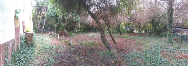 Casa indipendente in vendita a Roncade (TV)