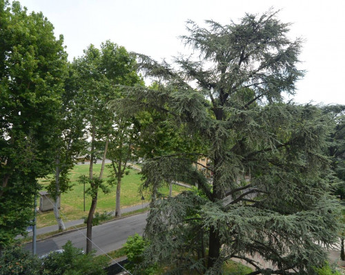 2 CAMERE in affitto a Fidenza