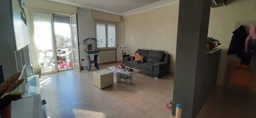 3 CAMERE