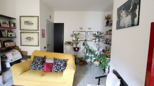 3 CAMERE