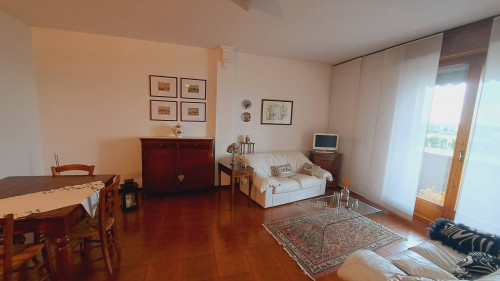 3 CAMERE