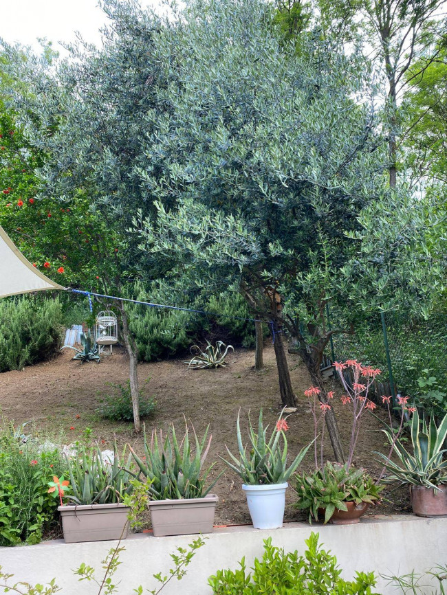 CASA SCHIERA in vendita a Salsomaggiore Terme