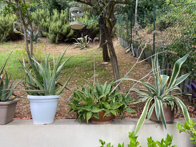 CASA SCHIERA in vendita a Salsomaggiore Terme