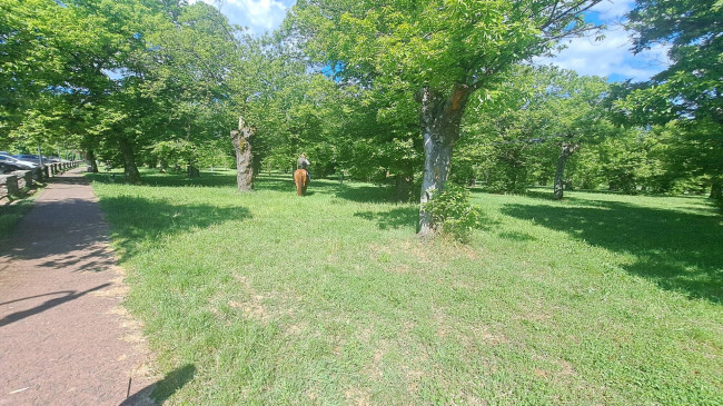 VILLA in vendita a Villafranca in Lunigiana