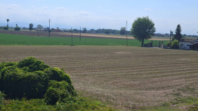CASA SINGOLA in vendita a Soragna