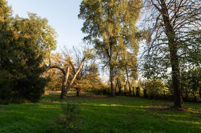 Casa indipendente in vendita a Mogliano Veneto (TV)