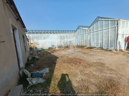 Terreno agricolo in vendita a Albenga (SV)