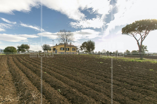 Villa in affitto a Palombara Sabina