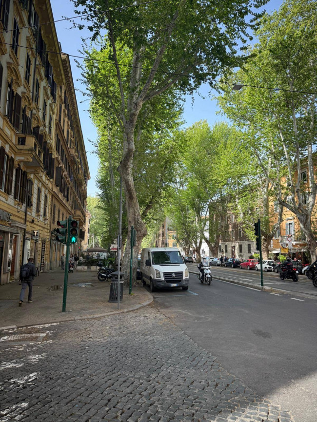 Attività commerciale in vendita a Roma