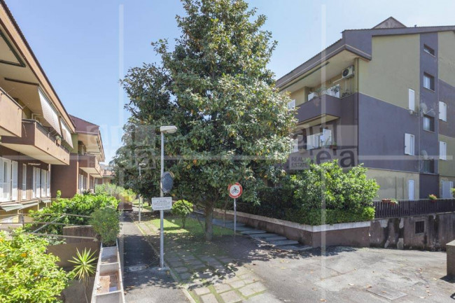 Appartamento in vendita a Monte Porzio Catone