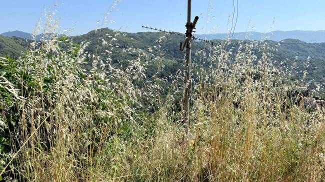 Casa singola in vendita a San Vito Romano