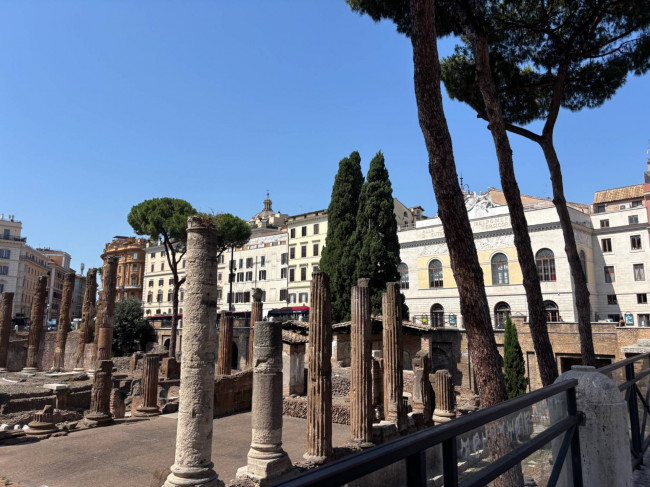 Appartamento in affitto a Roma