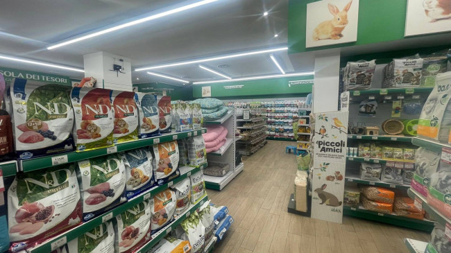 Attività commerciale in vendita a Roma