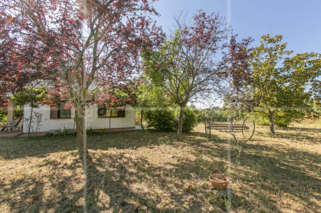 Villa in vendita a Roma