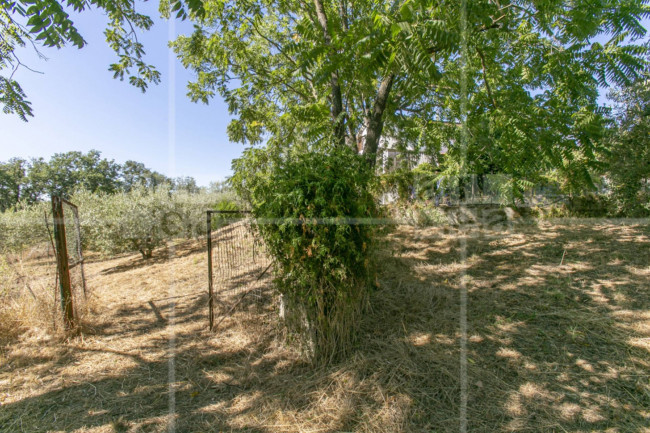 Villa in vendita a Roma