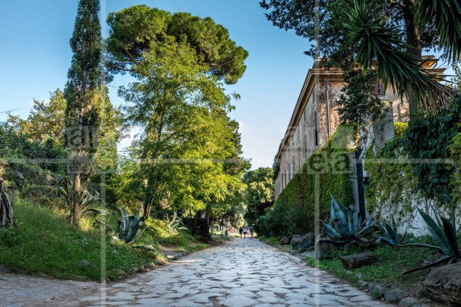 Casa singola in affitto a Roma