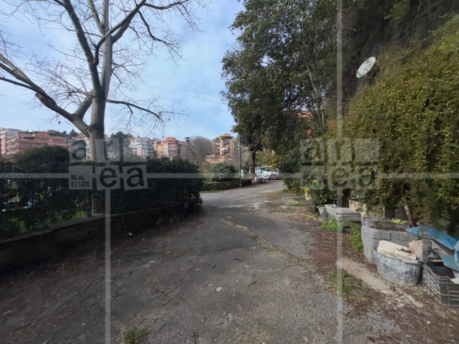 Cantina in vendita a Roma