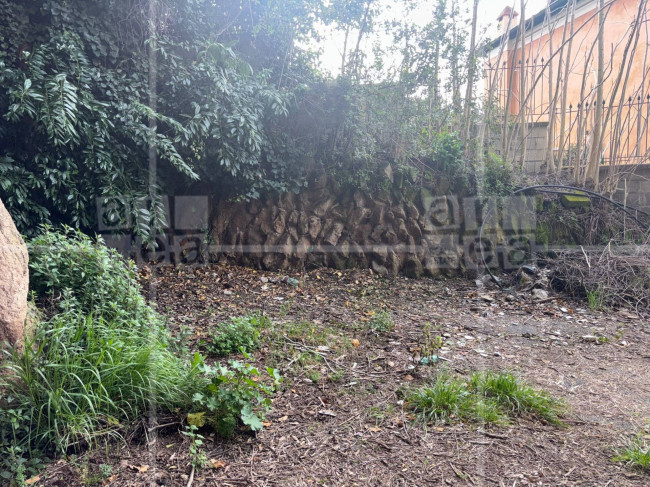 Cantina in vendita a Roma