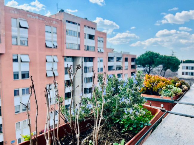 Appartamento in affitto a Roma