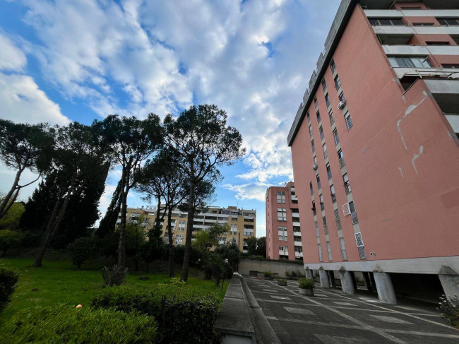 Appartamento in affitto a Roma