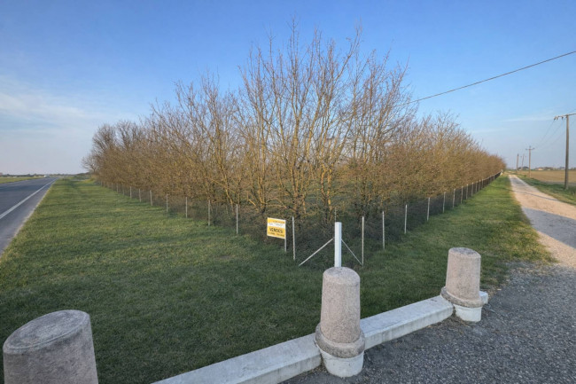 Villa Singola in vendita a Mirandola