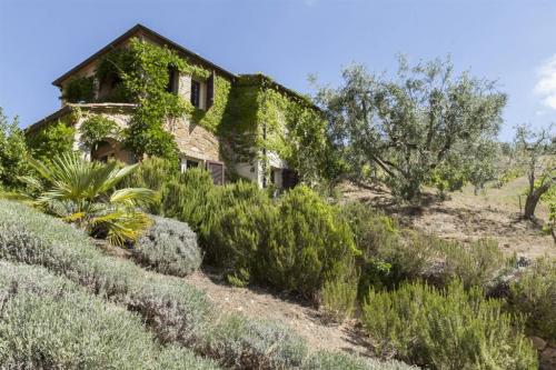 Casale in vendita a Montalcino